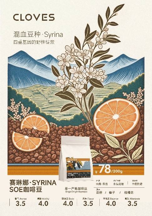 OVES赛琳娜·SYRINA邀你品鉴mg不朽情缘临沧的风土已酿成 CL